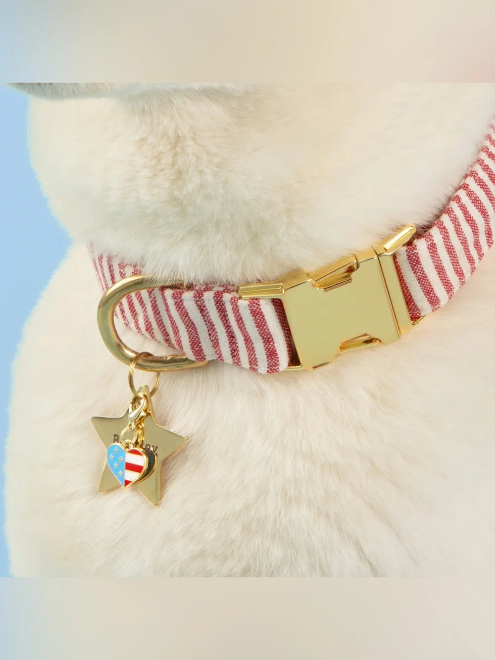 The Foggy Dog Gold Buckle Collar with Red and White Stripes XS